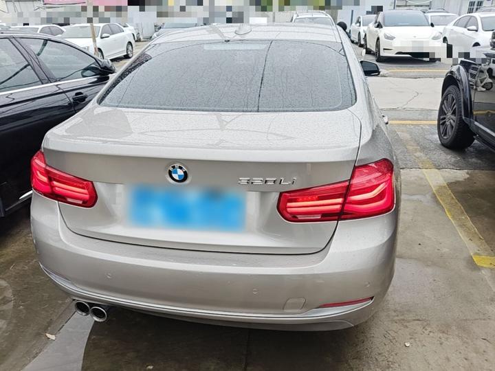 3 Series 2019 320Li Fashion photo 3