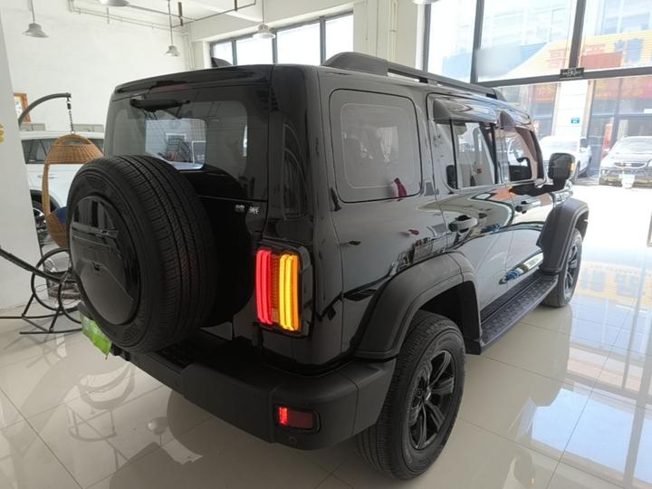 300 2021 Off-road 2.0T Conqueror photo 4