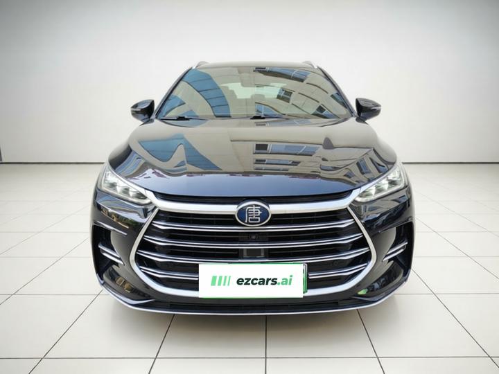 Tang EV 2021 DM 2.0T AWD Performance Premium photo 2