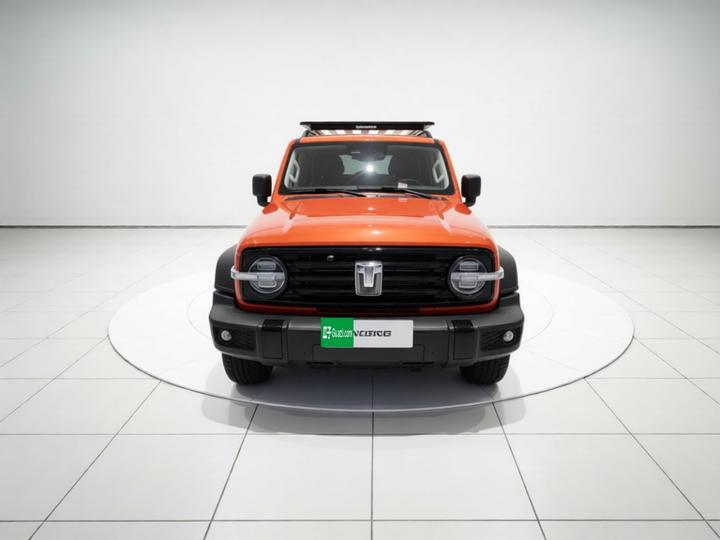 300 2024 2.0T Conqueror photo 2