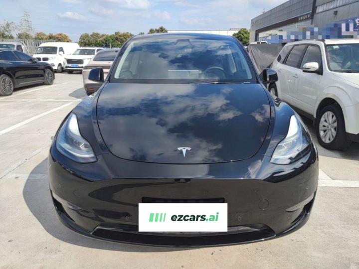 Model Y 2021 Standard Range RWD photo 2