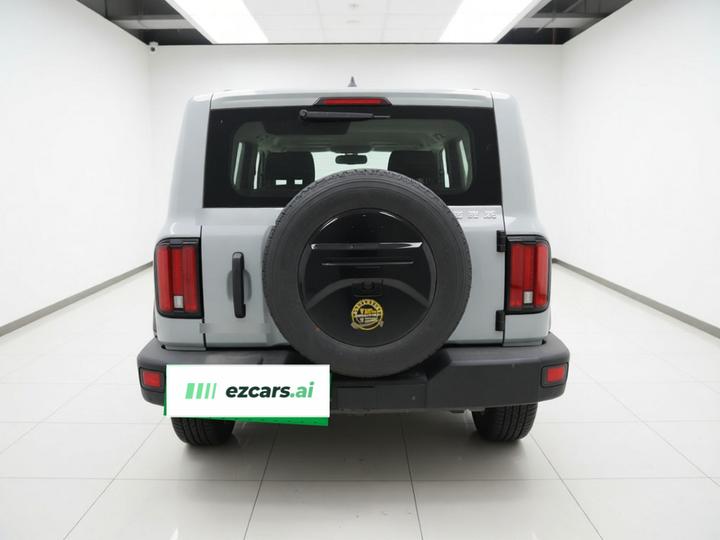 300 2021 Off-road 2.0T photo 5