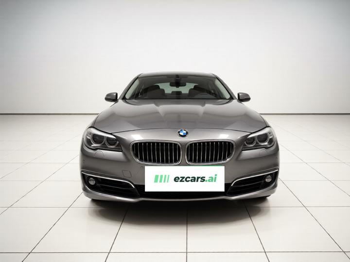 5 Series 2017 525Li Luxury Design Package photo 2