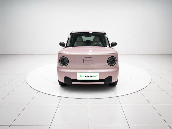 2023 Panda mini 200km Endurance Bear photo 2