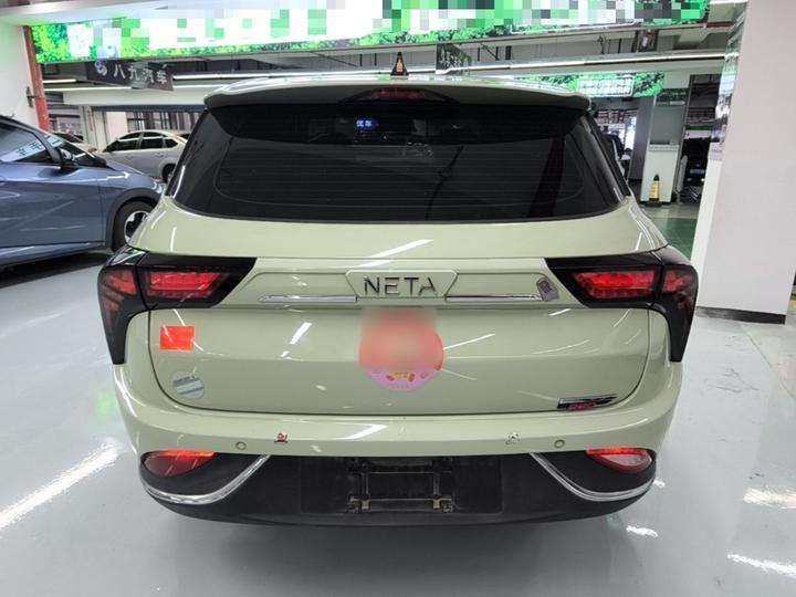 Neta V 2022 300 Lite LFP photo 5