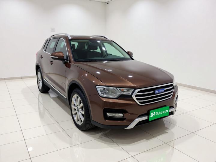 H7 2016 Blue Label H7 2.0T AT Luxury photo 3