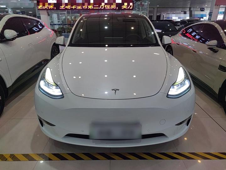 Model Y 2021 Standard Range RWD photo 2