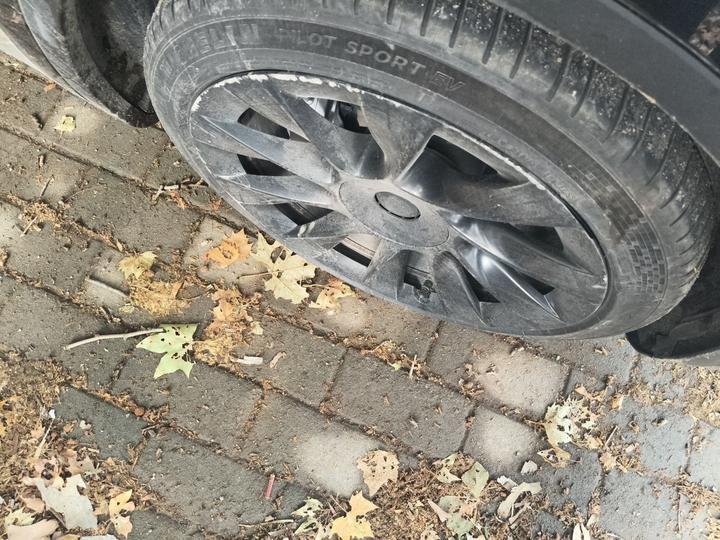 Model Y 2021 Standard Range RWD photo 8
