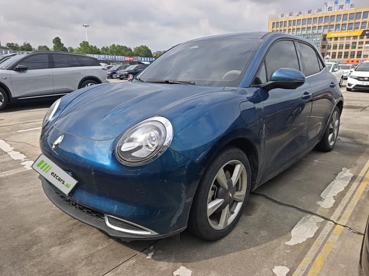 Good Cat 2023 401km Standard Range Premium LFP