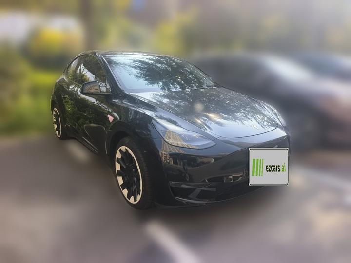 Model Y 2021 Standard Range RWD photo 3