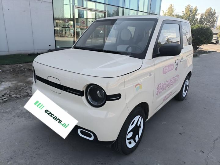 2025 Panda mini 210km Yuan