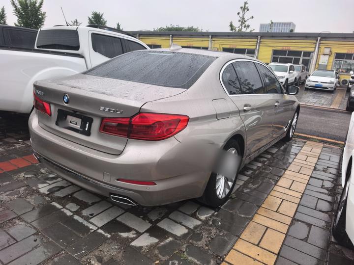 5 Series 2019 530Li Leading Luxury photo 4