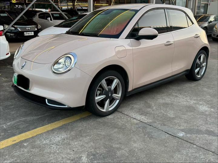 Good Cat 2023 401km Standard Range Luxury LFP