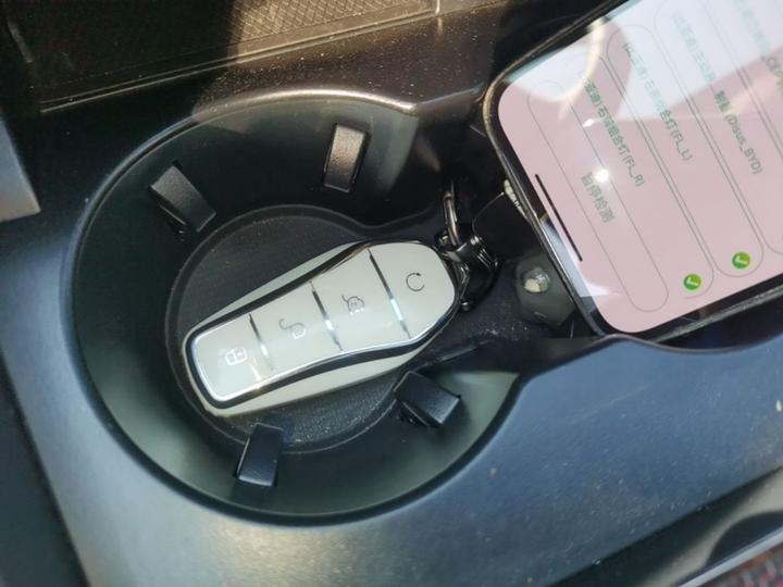 Han 2023 EV Champion 610KM AWD Flagship photo 8