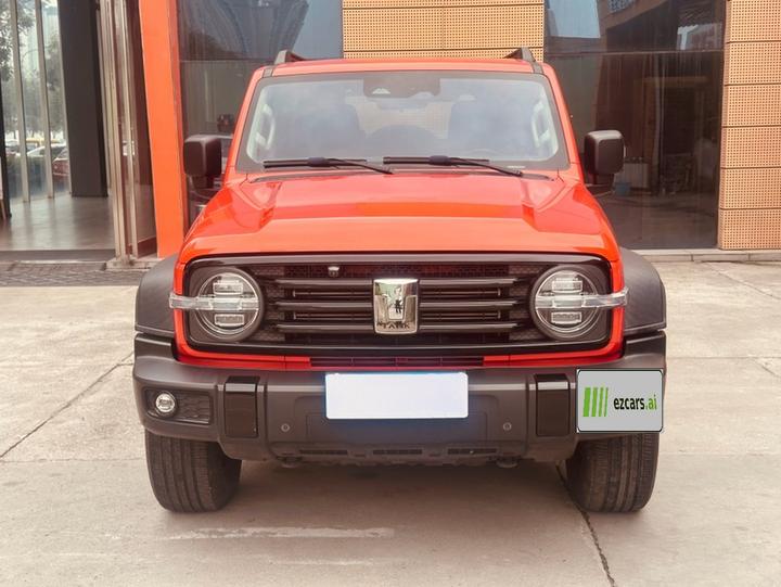 300 2021 Off-road 2.0T Conqueror photo 2