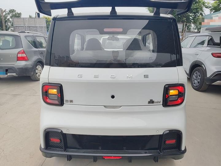 2025 210km Panda photo 3