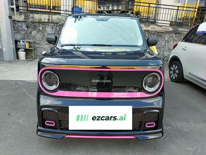 2024 200km Panda photo 2