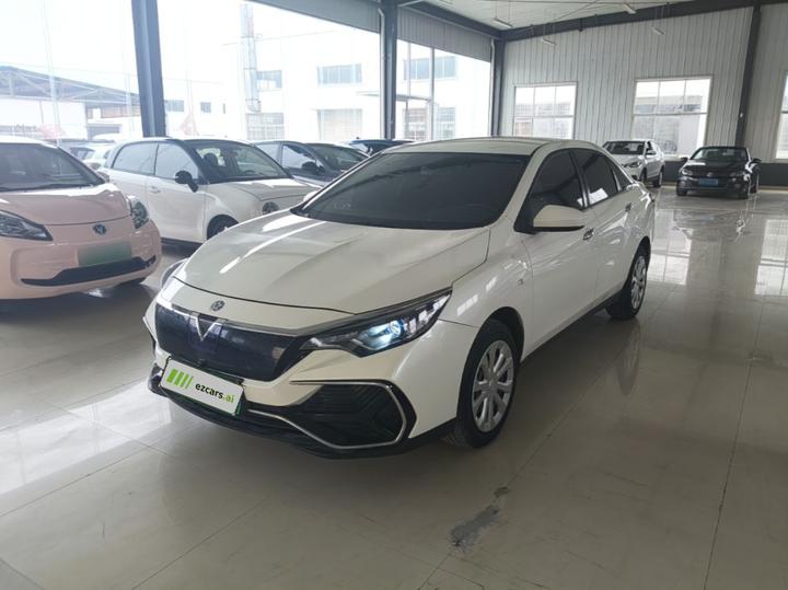 D60EV 2020 Standard Range