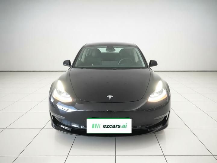 Model 3 2021 Performance AWD photo 2
