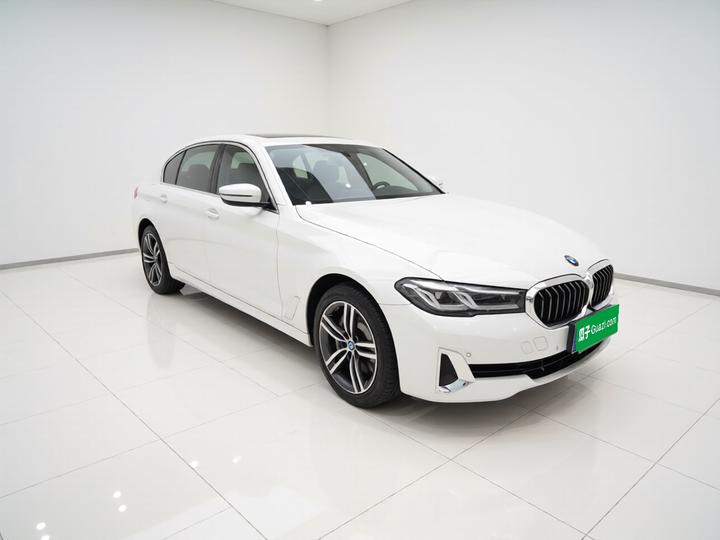 5 Series 2021 530Li Leading Luxury photo 3