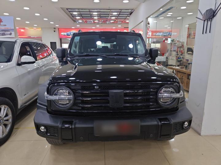 300 2023 Off-road 2.0T Conqueror photo 2
