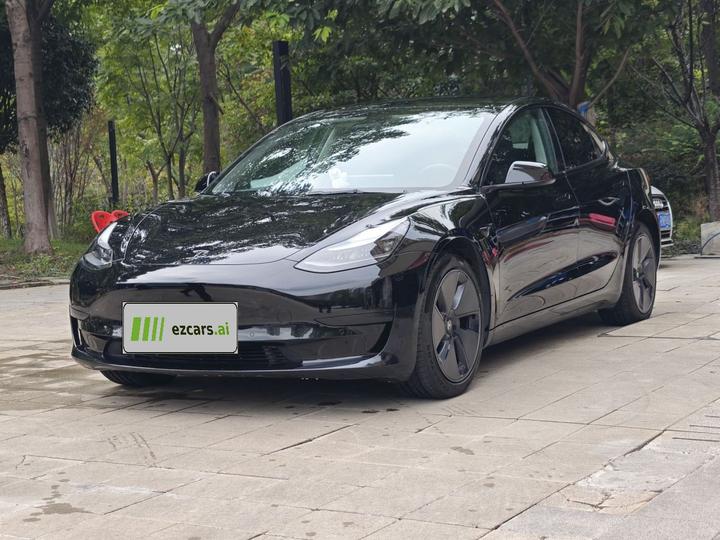 Model 3 2021 Standard Range RWD Upgraded 3D6