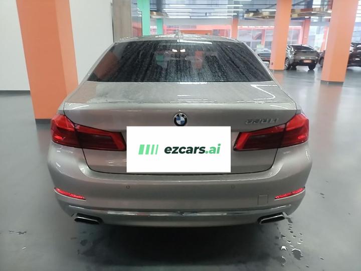 5 Series 2020 530Li Leading Luxury photo 5