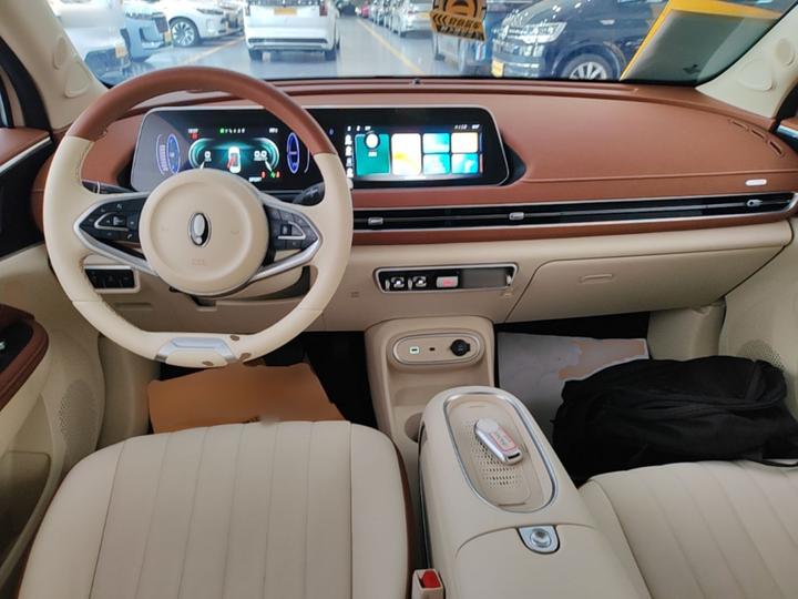 Good Cat 2023 401km Standard Range Premium LFP photo 5