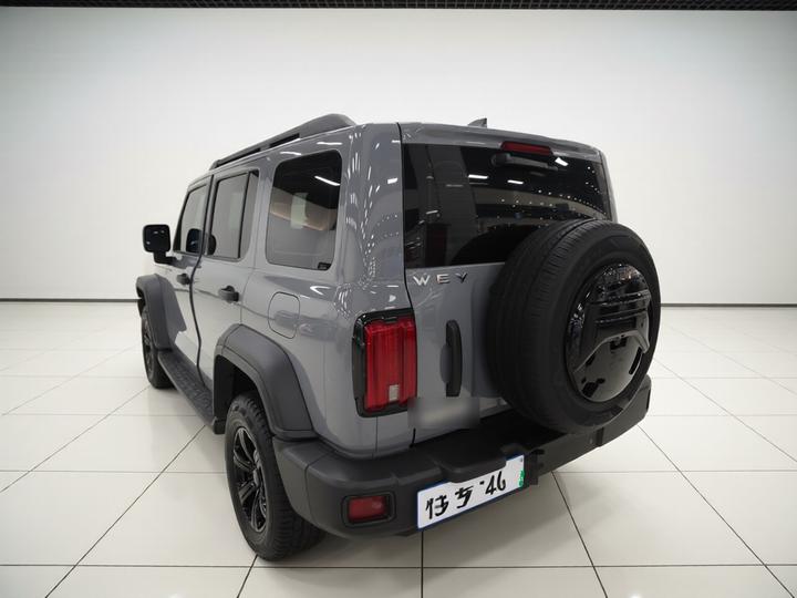 300 2021 Off-road 2.0T Conqueror photo 4