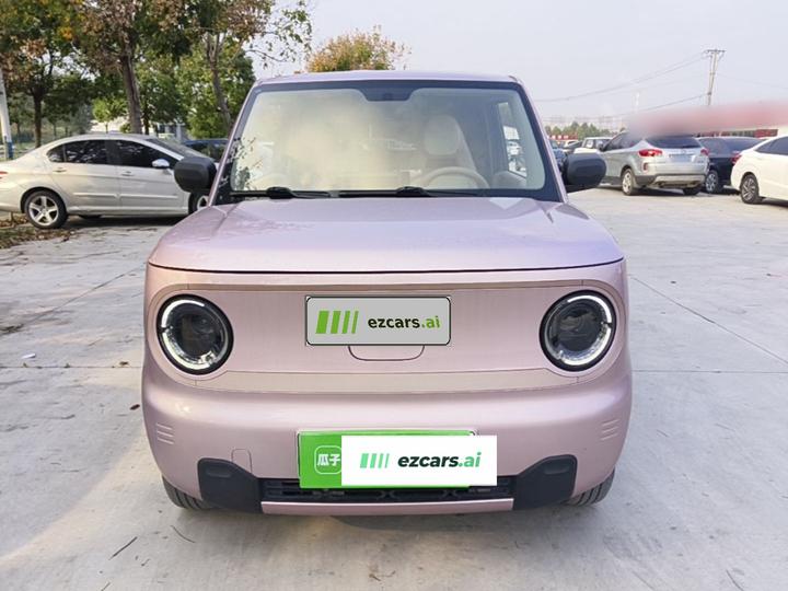 2023 Panda mini 200km Endurance Bear photo 2