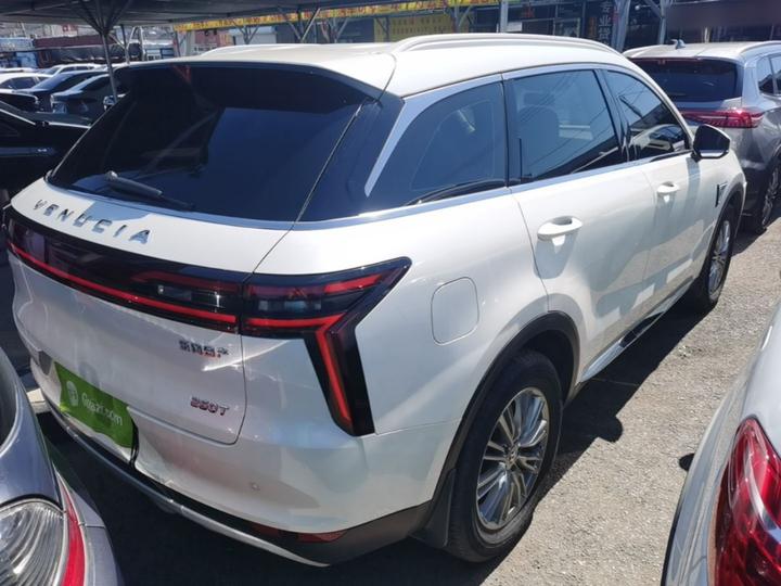 2021 260T AT 48V Mild Hybrid photo 4