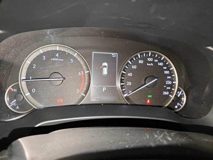 RX 2020 Facelift 300 RWD Elite photo 4