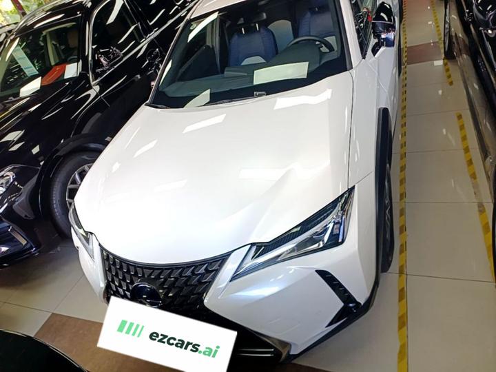 UX EV 2020 300e photo 2