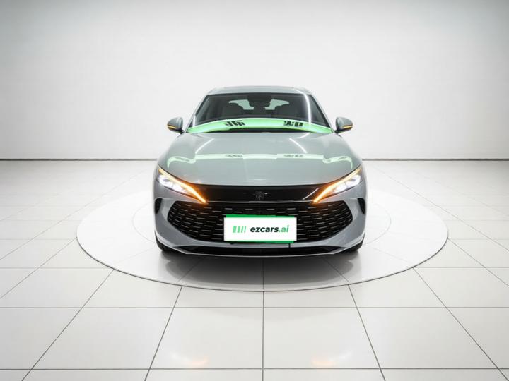 Qin L 2024 DM-i 120KM Excellence photo 2
