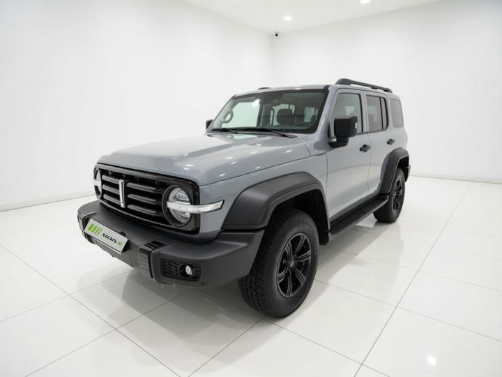 300 2021 Off-road 2.0T