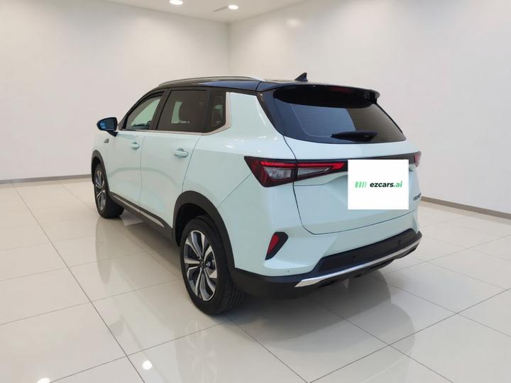 Wuling 2022 2.0L DHT photo 4