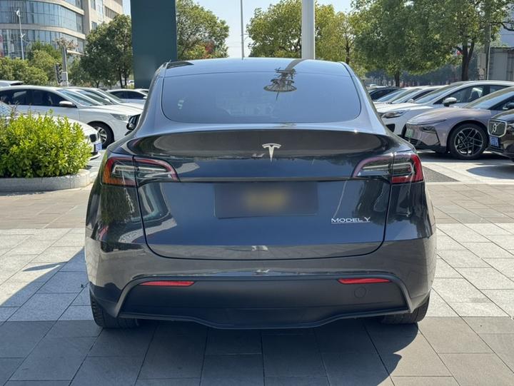 Model Y 2024 RWD photo 6