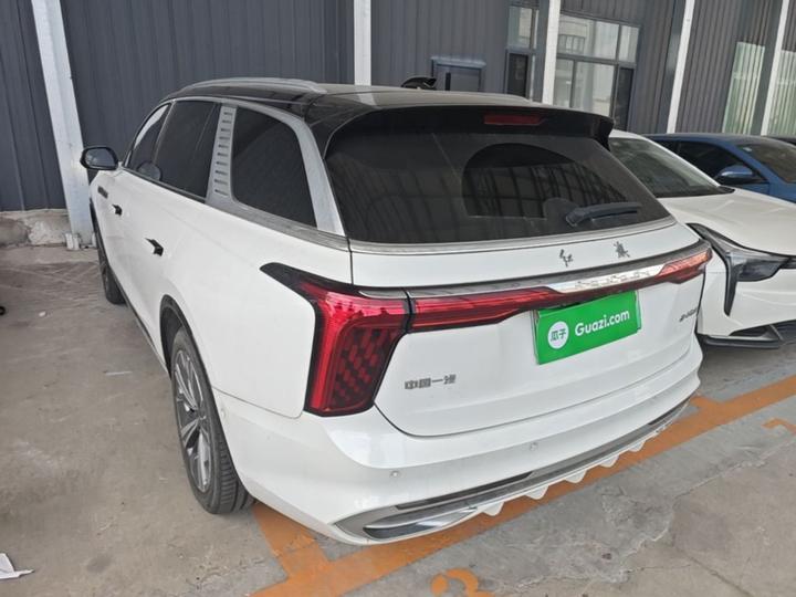 E-HS9 2022 690km 6-Seater photo 4