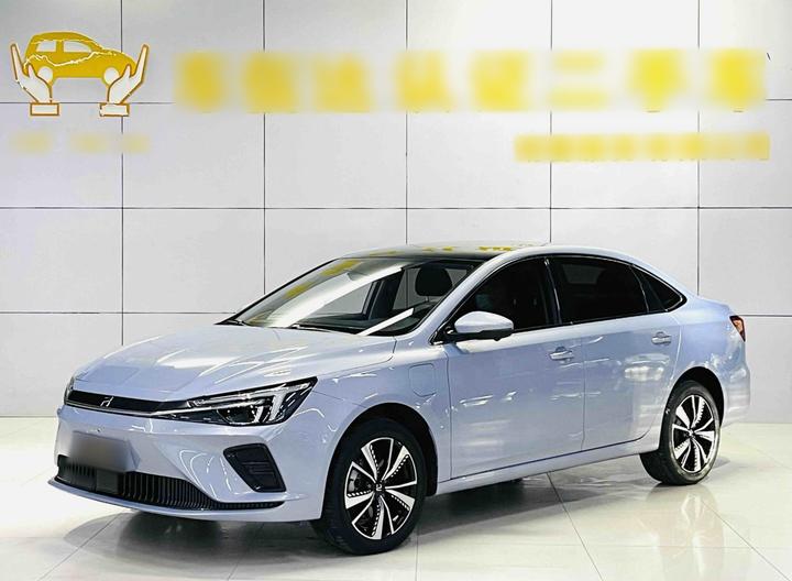 Rising Auto Rising Auto ER6 2021 620km Smart
