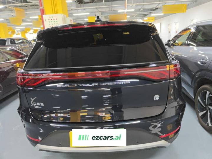 Tang EV 2025 DM-i 115KM Noble photo 5