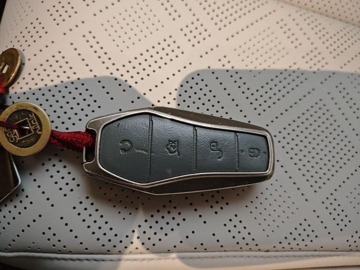 Yuan UP 2025 ADAS 401KM photo 8