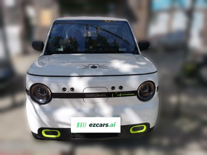 2025 Panda mini 210km Yuan photo 2