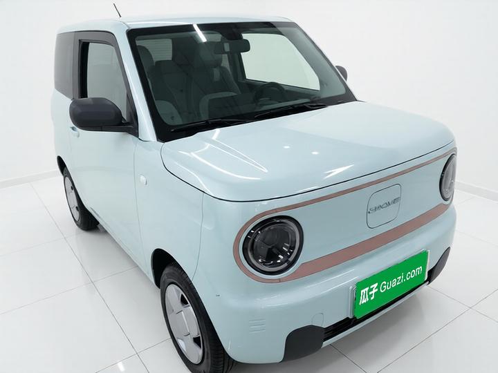 2024 Panda mini 200km Endurance Bear photo 3