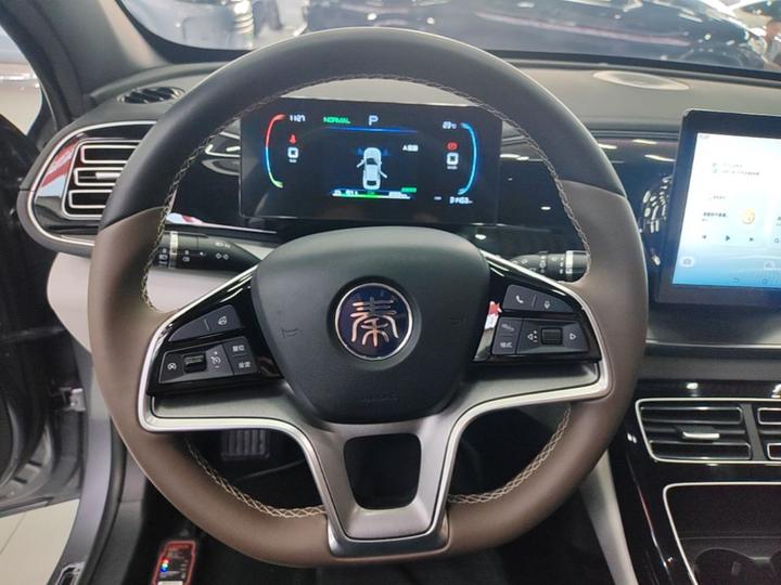 Qin PLUS 2024 Honor EV 420KM Leading photo 6