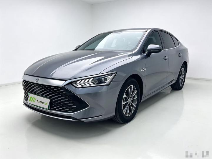 Qin PLUS 2024 Honor DM-i 55KM Leading