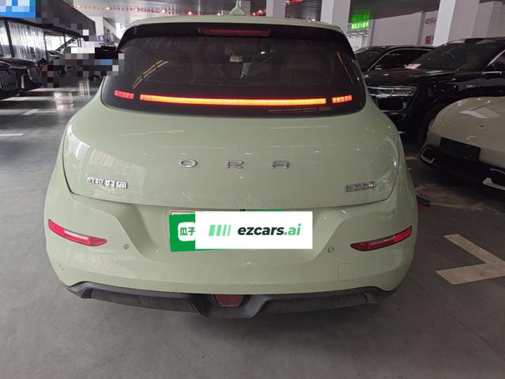 Good Cat 2023 401km Standard Range Premium LFP photo 5