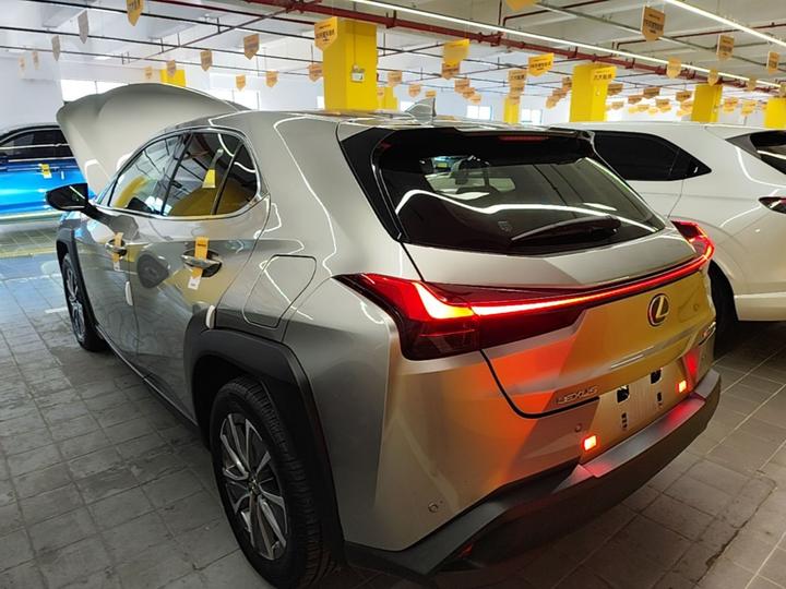 UX EV 2020 300e photo 4