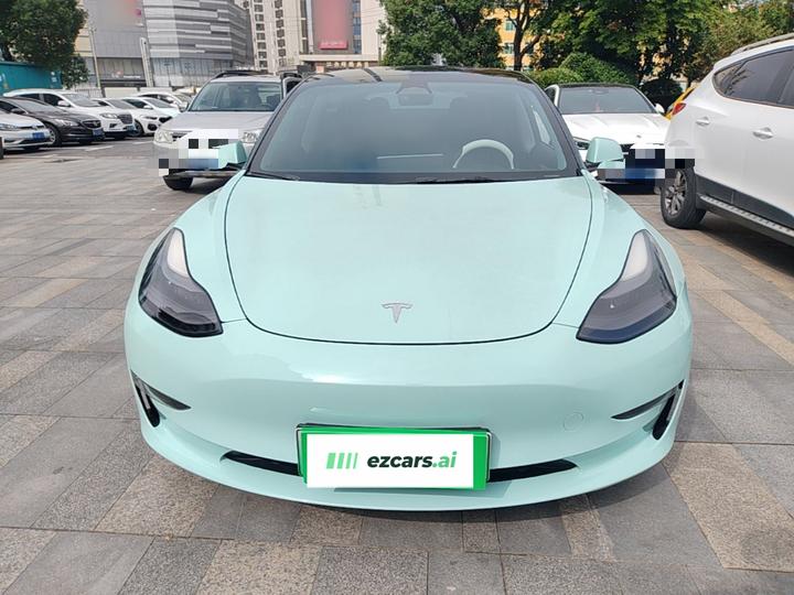 Model 3 2022 Performance AWD photo 2
