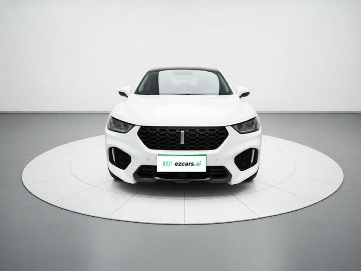 VV5 2019 Upgraded 2.0T RWD China VI photo 2