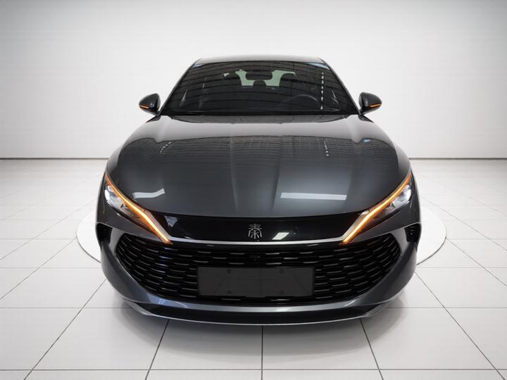Qin L 2024 DM-i 80KM photo 2